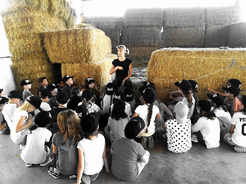 Fattoria Didattica Torino - Agrigelateria San Pe' Poirino